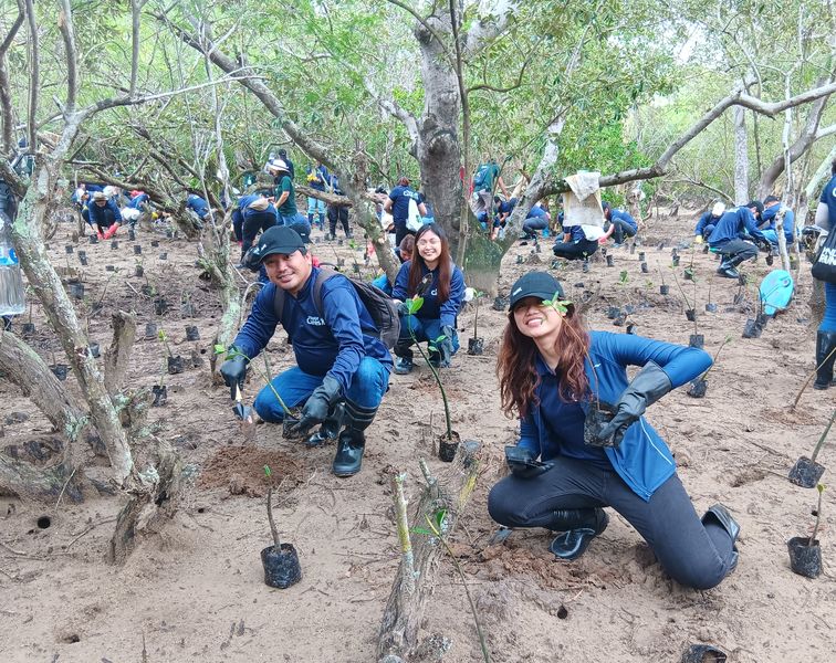 Fluor volunteers planting trees